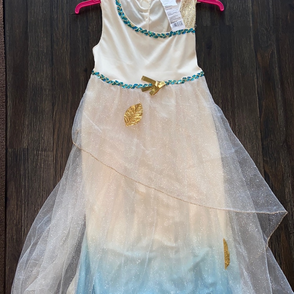 Greek Goddess Costume